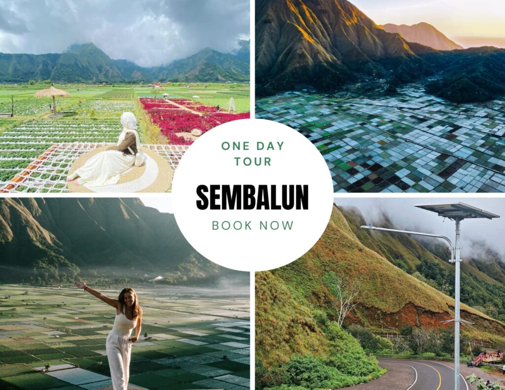 Sembalun Paket tour lombok