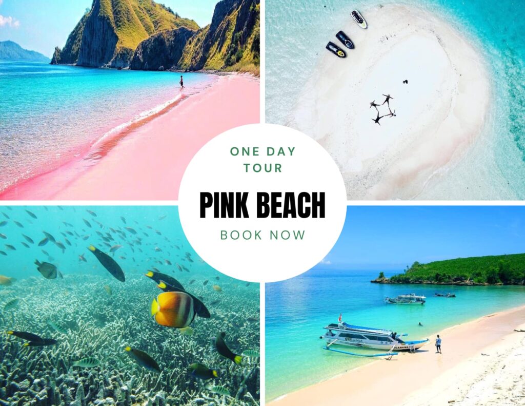 Tour Lombok
Sewa mobil di lombok dengan sopir pantai pink