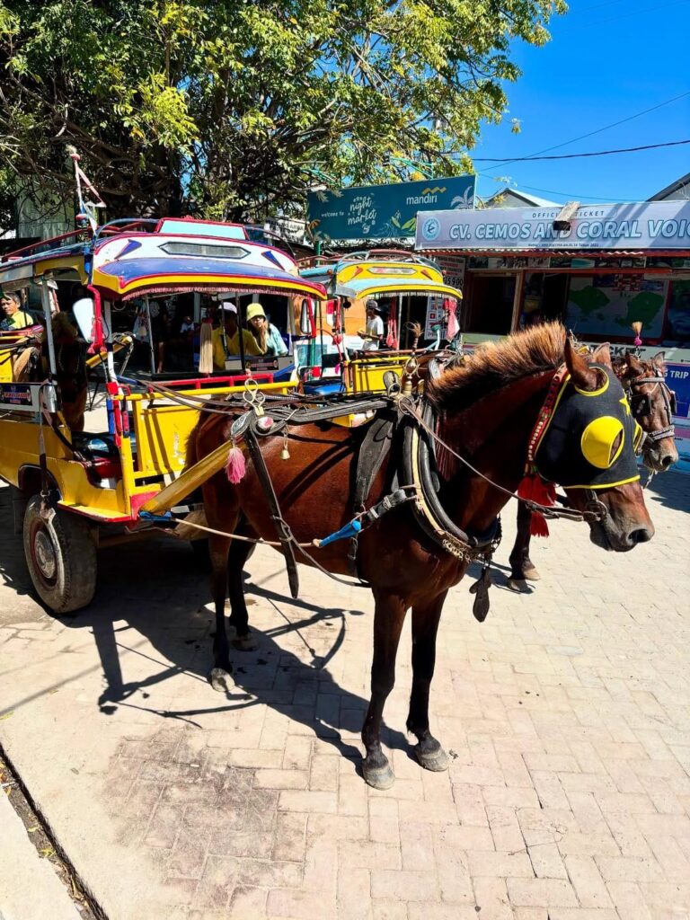 cidomo gili trawangan
