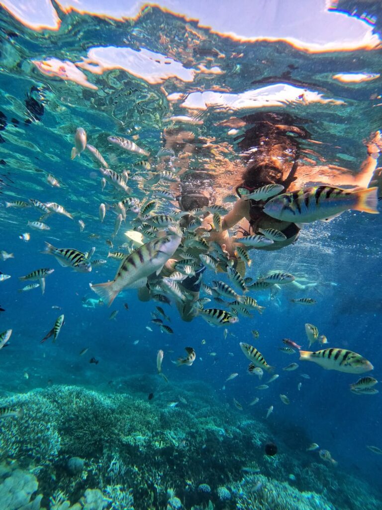 gili trawangan underwater